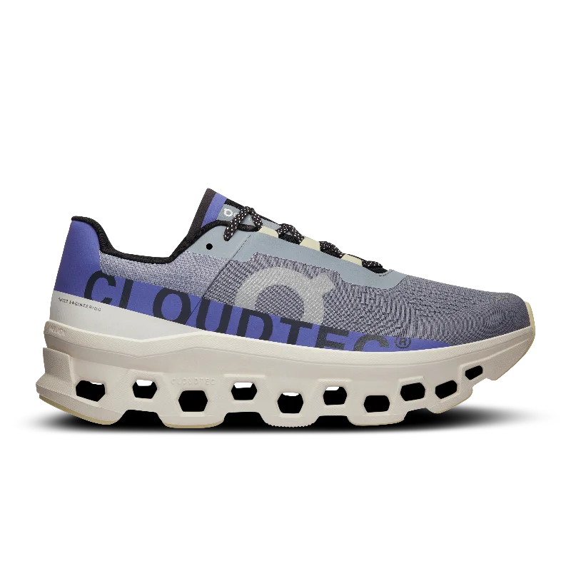 Women's Running Shoes with a Toe Box Reinforcement in Silver for Toe ProtectionCloudmonster